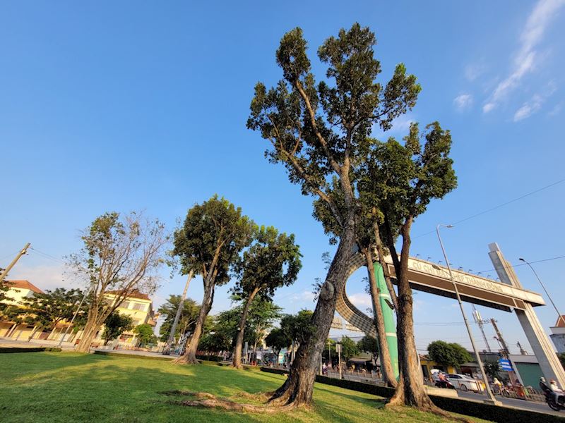 Cổng chào trung tâm Củ Chi